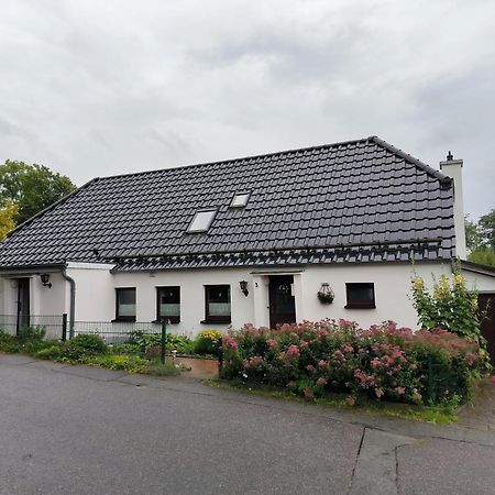 Andresen - Ferienwohnung Mit Gartenlaube Handewitt Ngoại thất bức ảnh